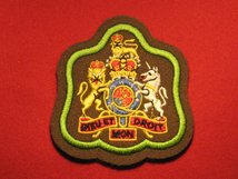 NUMBER 2 DRESS FAD WO1 RSM BADGE BRIGHT GREEN EDGE ON FAD BROWN