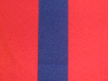 FULL SIZE ROYAL HUMANE SOCIETY MEDAL BLUE MEDAL RIBBON 32MM