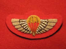 OTHER RANKS SAS TRAINED WINGS BADGE SILVER WINGS GOLD CANOPY ON SCARLET RED