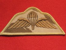 PARA WINGS DESERT DPM BADGE