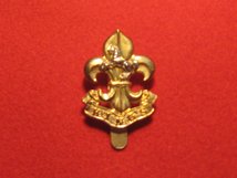 KINGS REGIMENT CAP BADGE