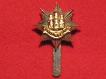 ROYAL ANGLIAN REGIMENT CAP BADGE