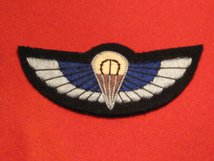 NUMBER 2 DRESS FAD SAS WINGS PADDED BADGE