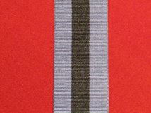 FULL SIZE POLICE SERVICE NORTHERN IRELAND PSNI MEDAL RIBBON