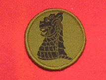 TACTICAL RECOGNITION FLASH BADGE 77TH BRIGADE TRF BADGE GREEN