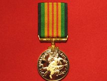 FULL SIZE COMMEMORATIVE VIETNAM VETERANS MEDAL
