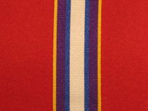 FULL SIZE BORDER FORCE AND IMMIGRATION ENFORCEMENT MEDAL LSGC MEDAL RIBBON