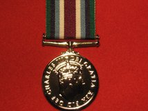 FULL SIZE WIDER SERVICE MEDAL REPLACEMENT MEDAL CIIIR